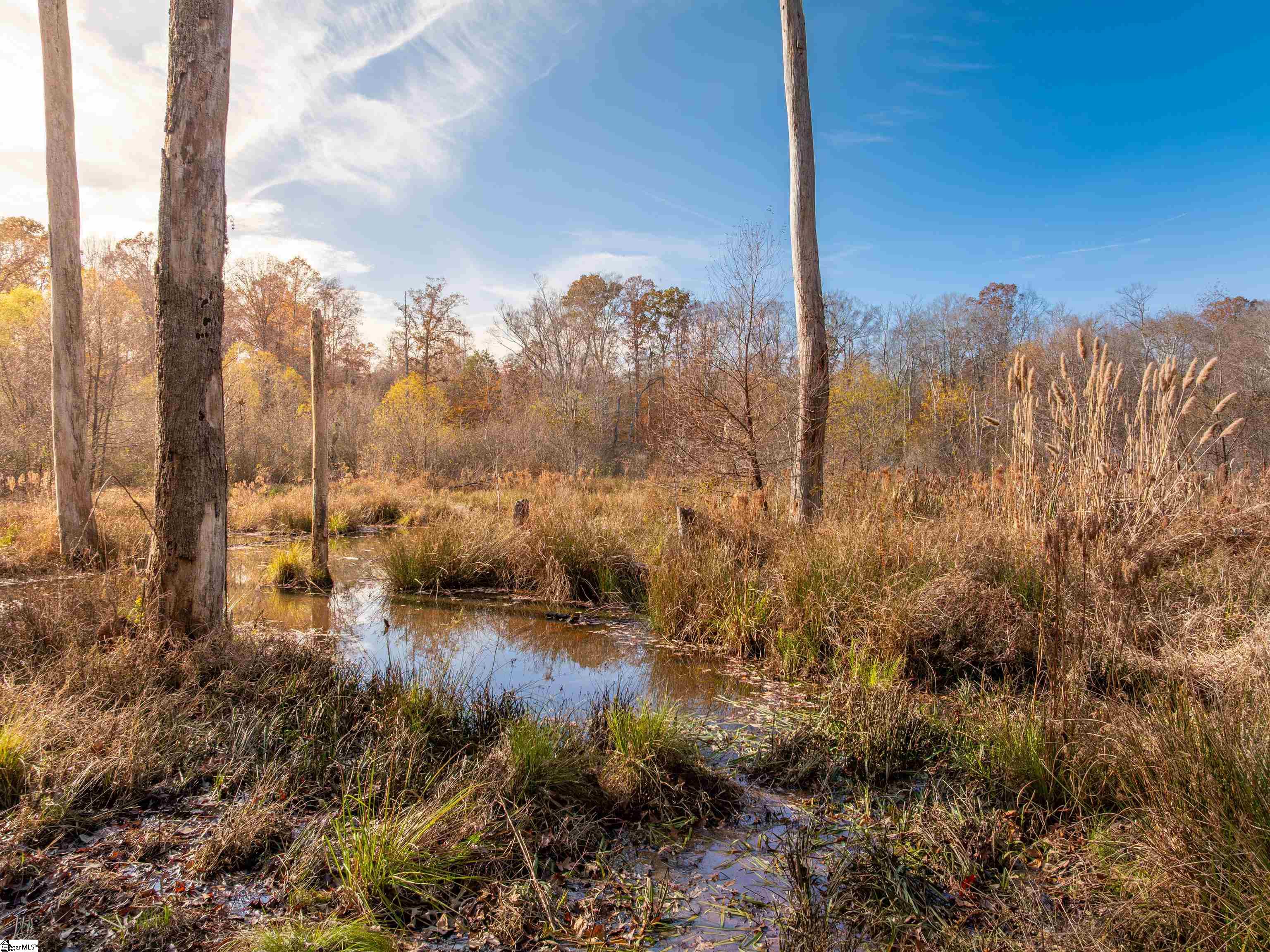 217 West Chapman Road, Unit LOT 1 Belton, SC 29627 - Photo 30 of 44 Gallery Image 30