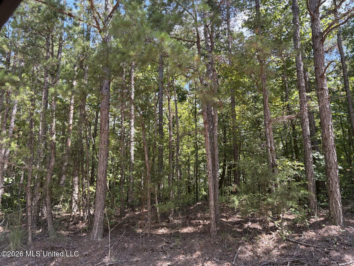 180 County Road New Albany, MS 38652 - Photo 22 of 39 Photo Aug 27 2026, 2 12 23 PM (Large)