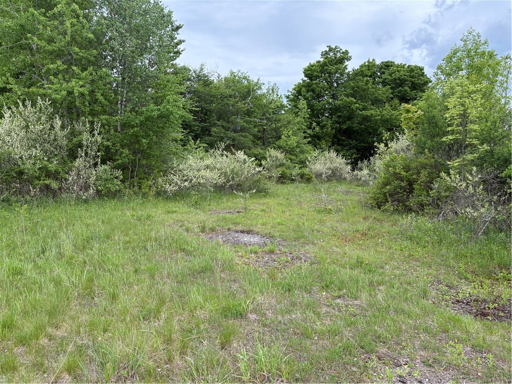 36 County Road Guilford, NY 13780 - Photo 26 of 38