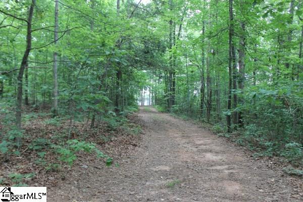 609 Thomas Road Pickens, SC 29671 - Photo 28 of 29