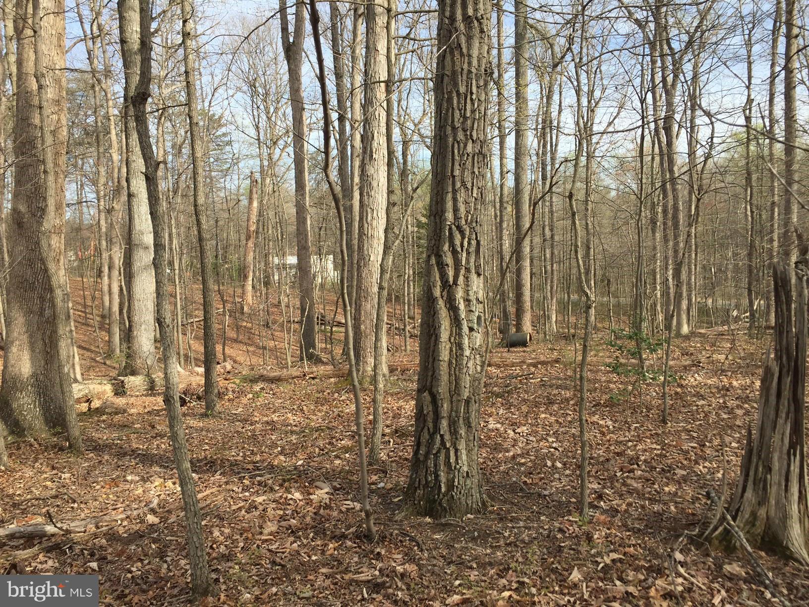14555 Aden Road Manassas, VA 20112 - Photo 11 of 19 View