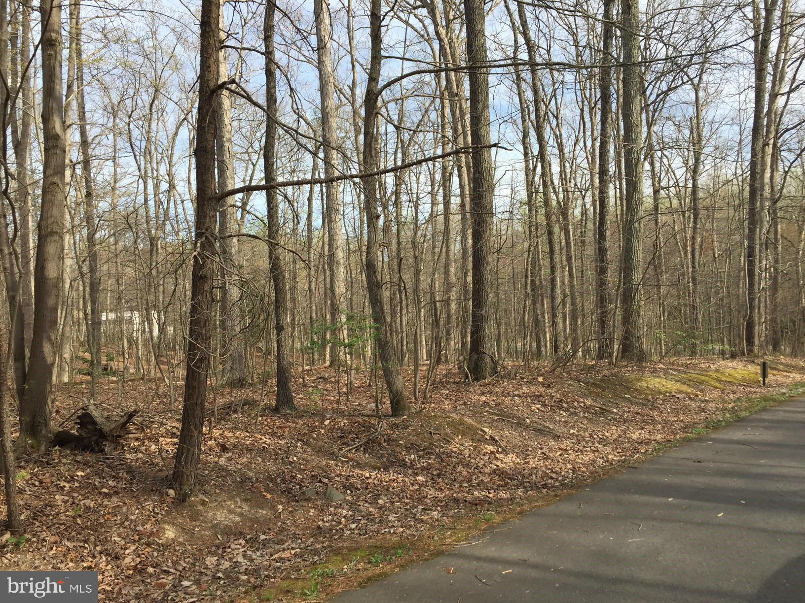 14555 Aden Road Manassas, VA 20112 - Photo 12 of 19 View
