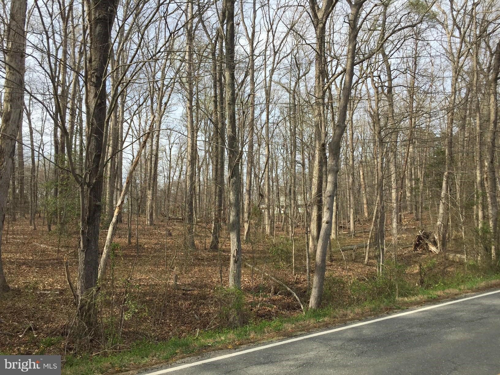 14555 Aden Road Manassas, VA 20112 - Photo 16 of 19 View