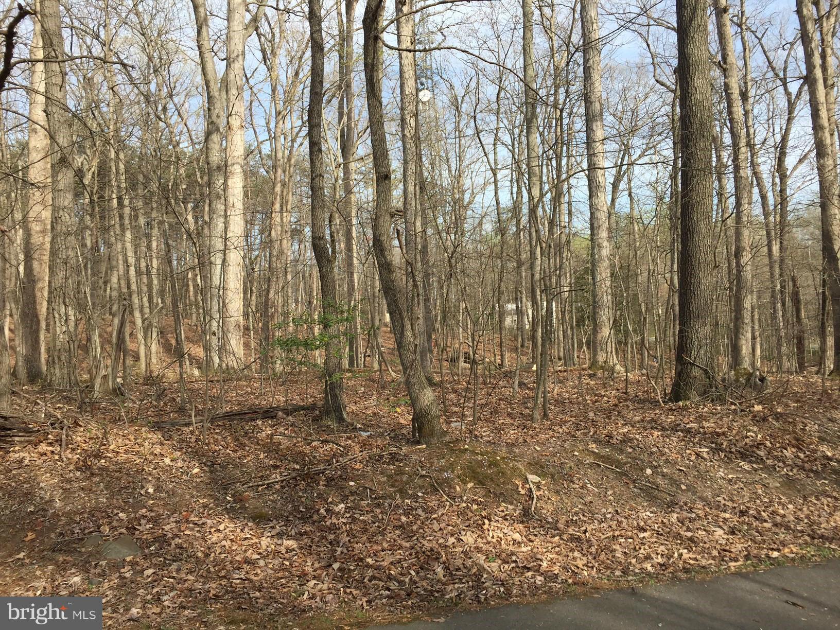 14555 Aden Road Manassas, VA 20112 - Photo 10 of 19 View