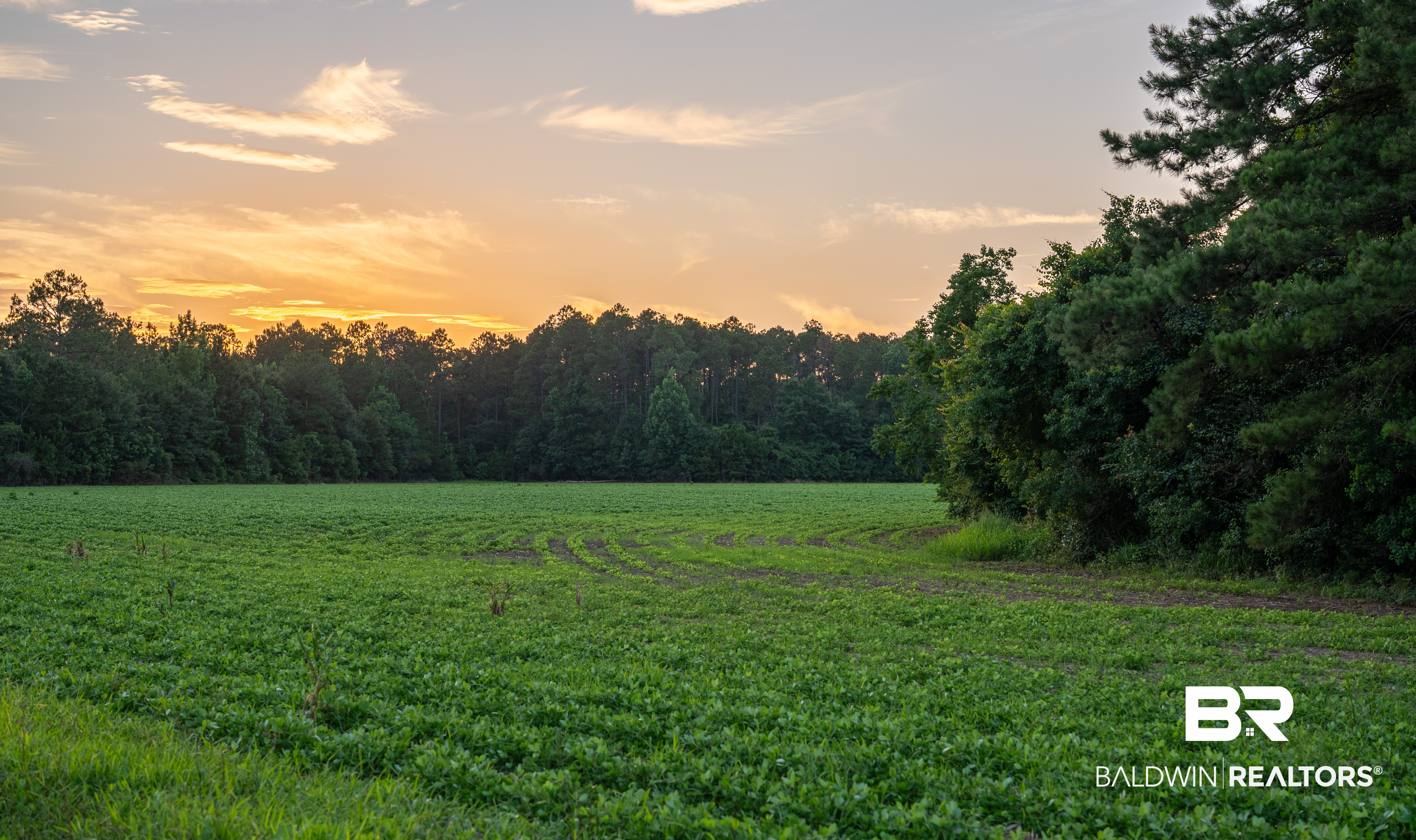 0 Bromley Road Stapleton, AL 36578 - Photo 33 of 48 Gallery Image 33