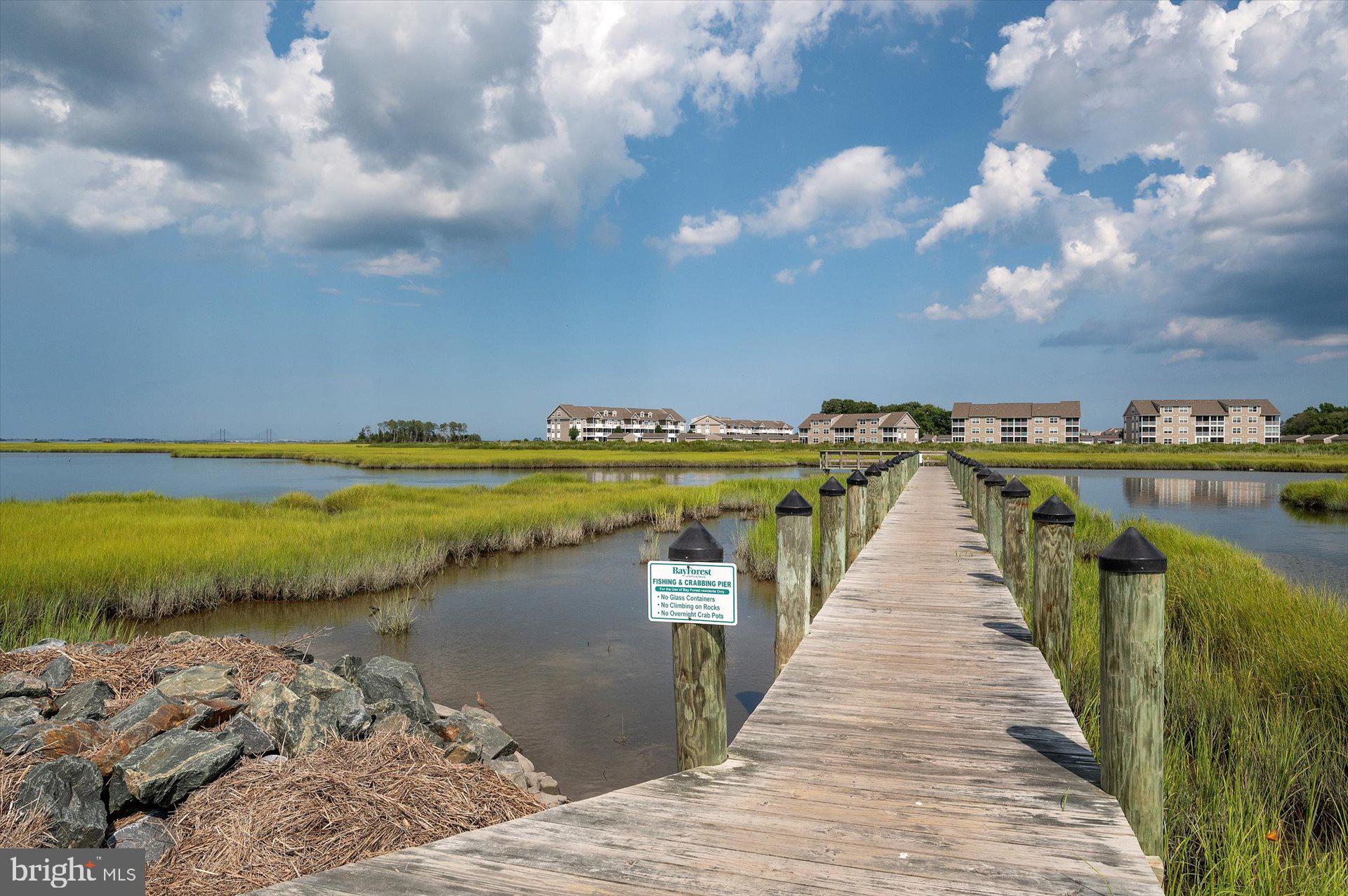 20822 Cormorant Way Ocean View, DE 19970 - Photo 90 of 91
