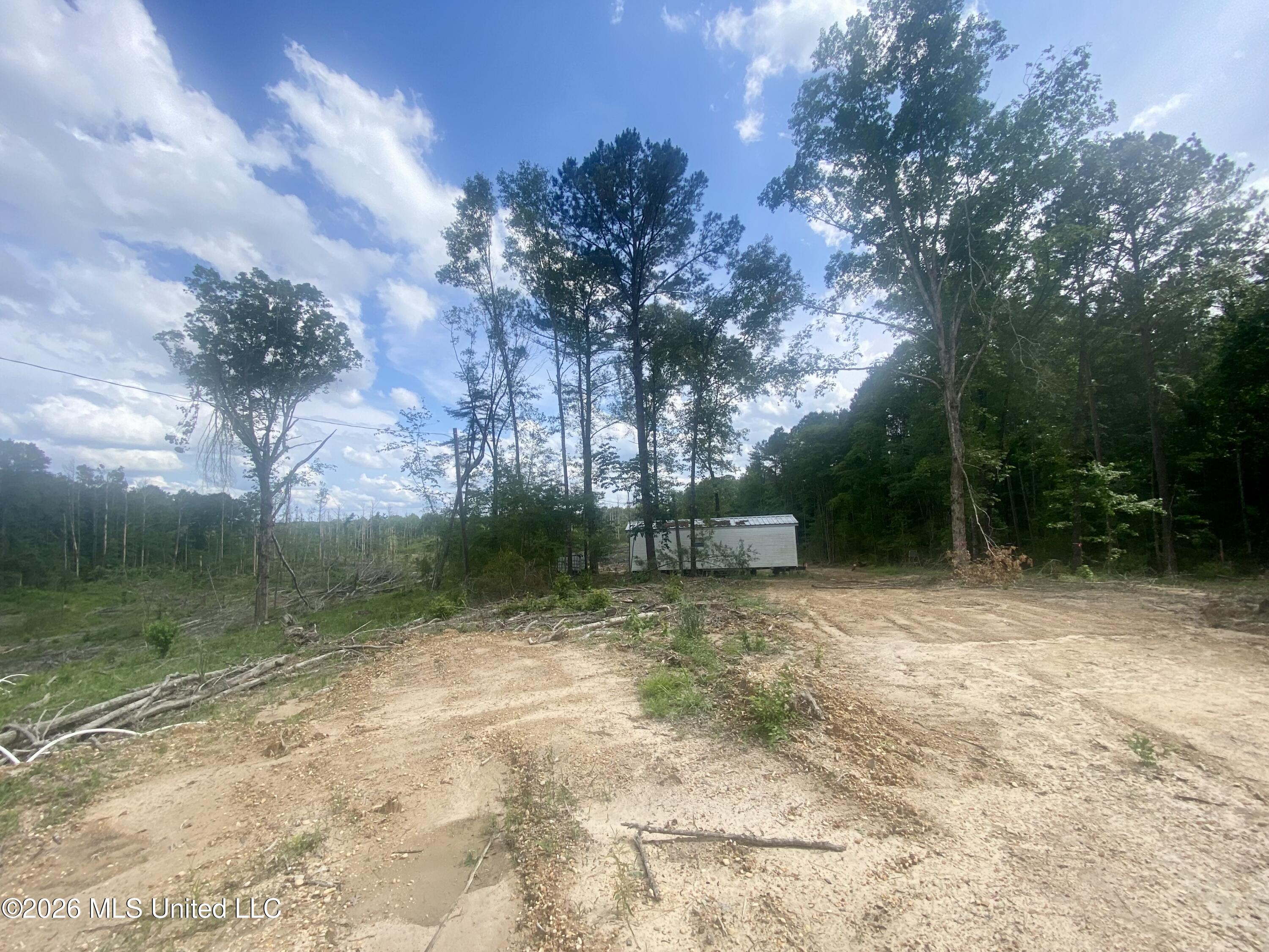 4194 Martinsville Road Wesson, MS 39191 - Photo 7 of 9 IMG_5908