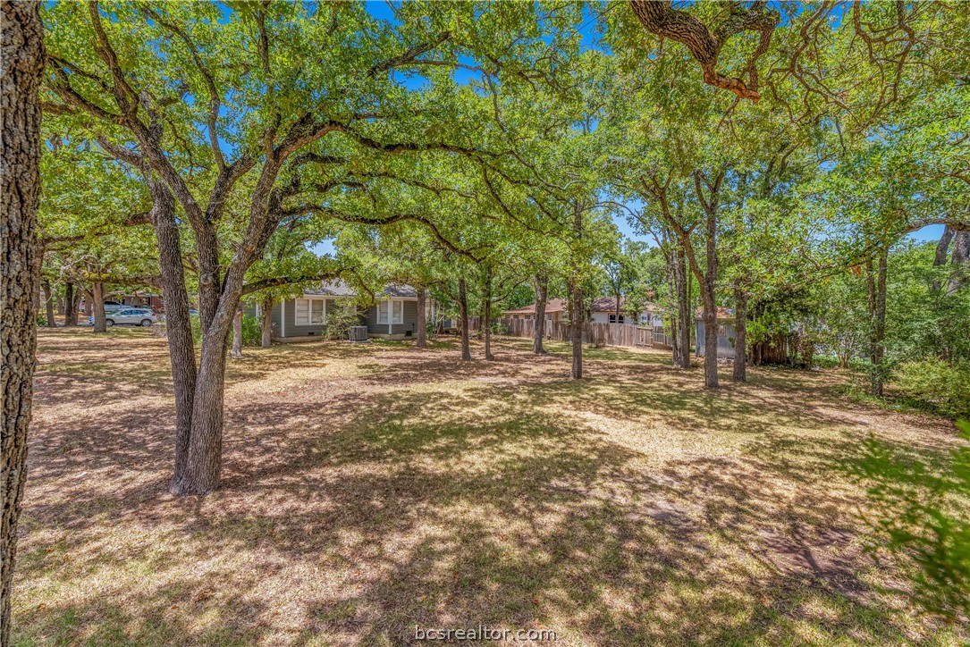 a view of yard with trees