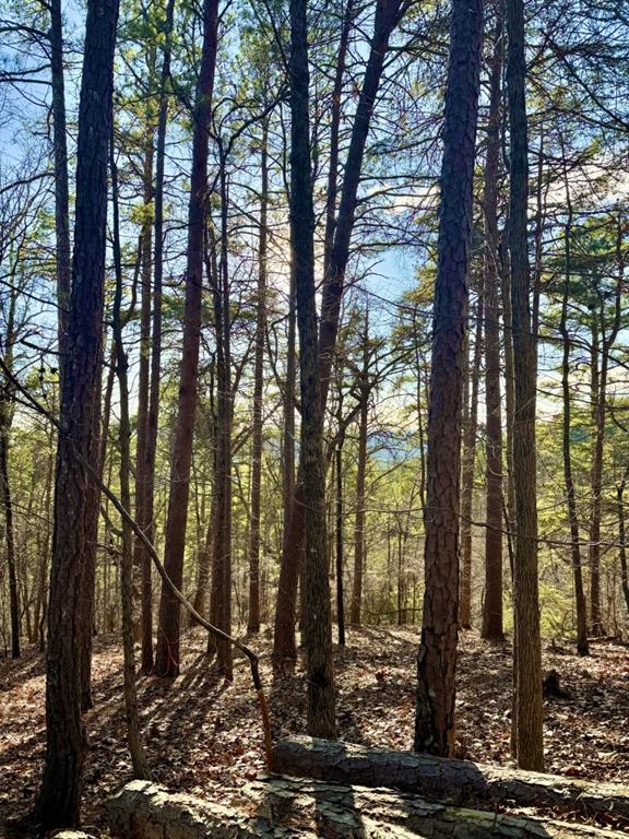 334 Packet Court Ranger, GA 30734 - Photo 8 of 21