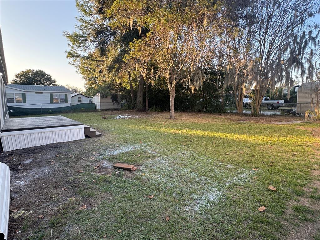 5254 Mt Olive Road Polk City, FL 33868 - Photo 18 of 19 a view of backyard with tree