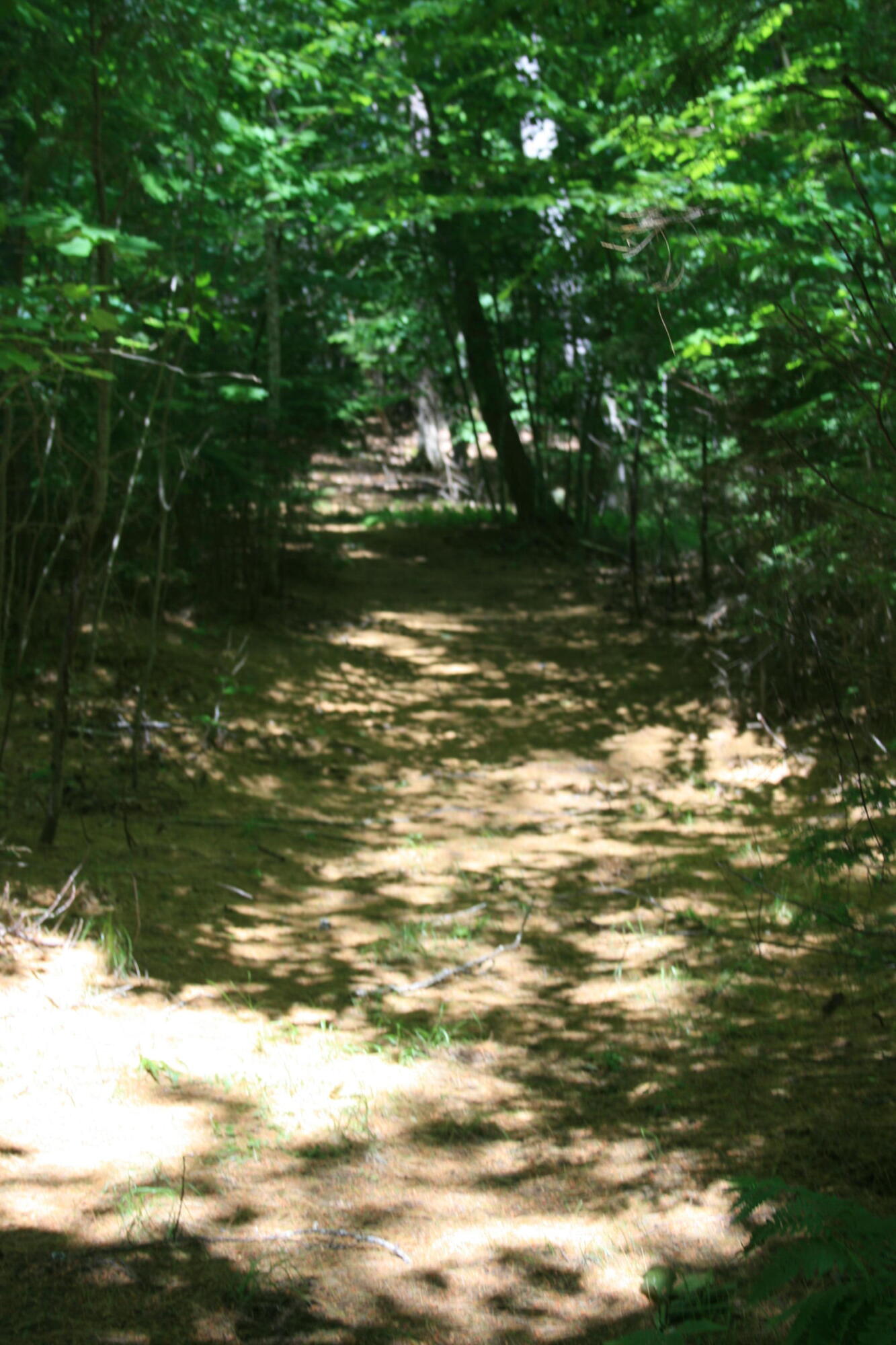 127 North Campers Point Road Winthrop, ME 04364 - Photo 40 of 45 W1