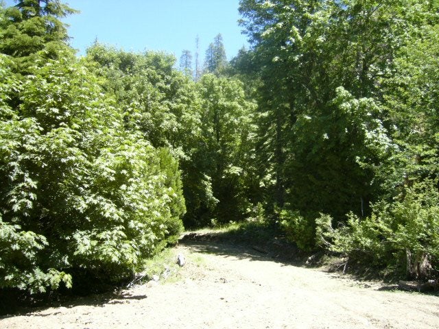 End Of Road Fort Jones, CA 96032 - Photo 3 of 13 Gallery Image 3