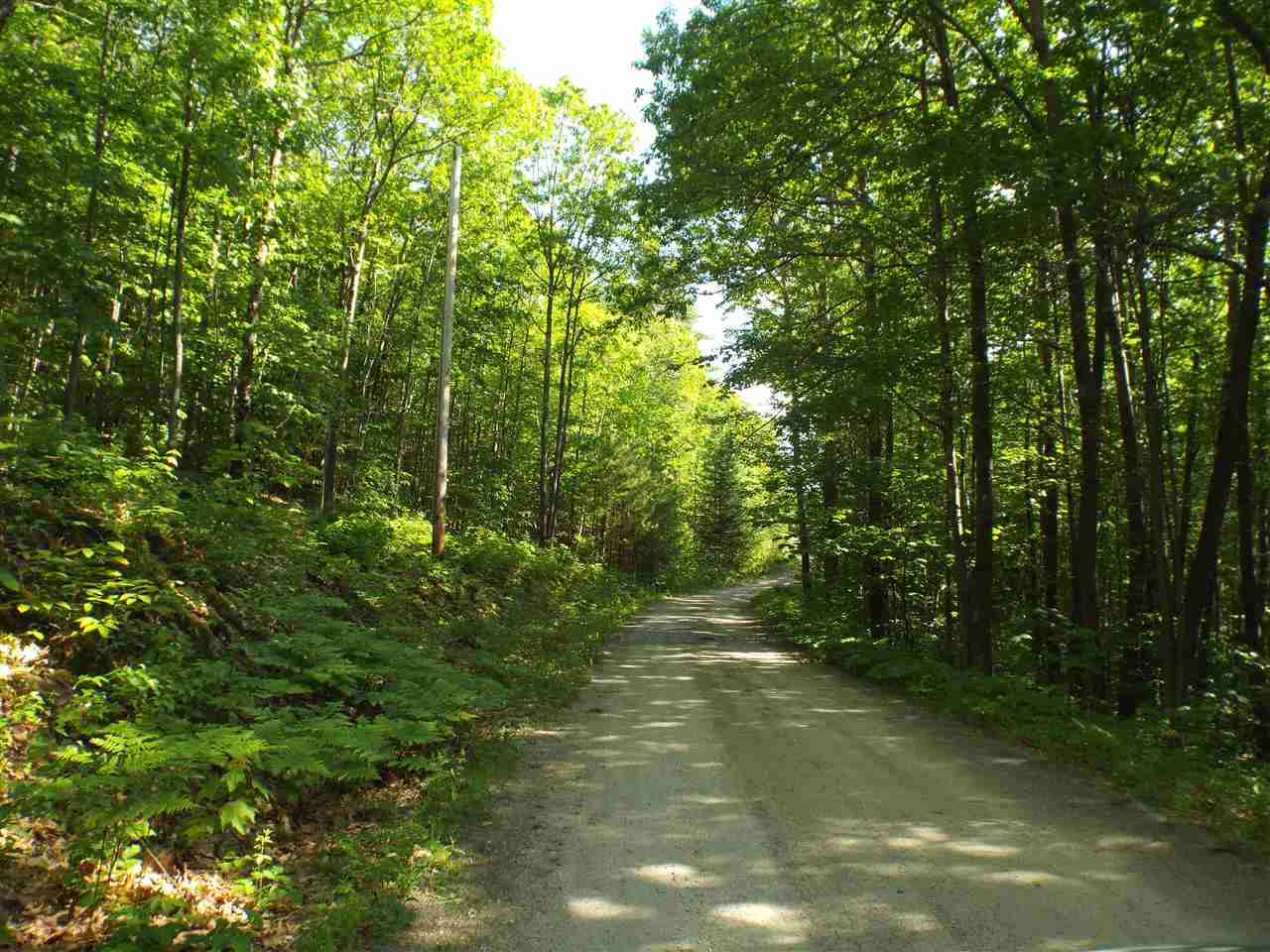 143 Peppercorn Road Ashland, NH 03217 - Photo 8 of 40