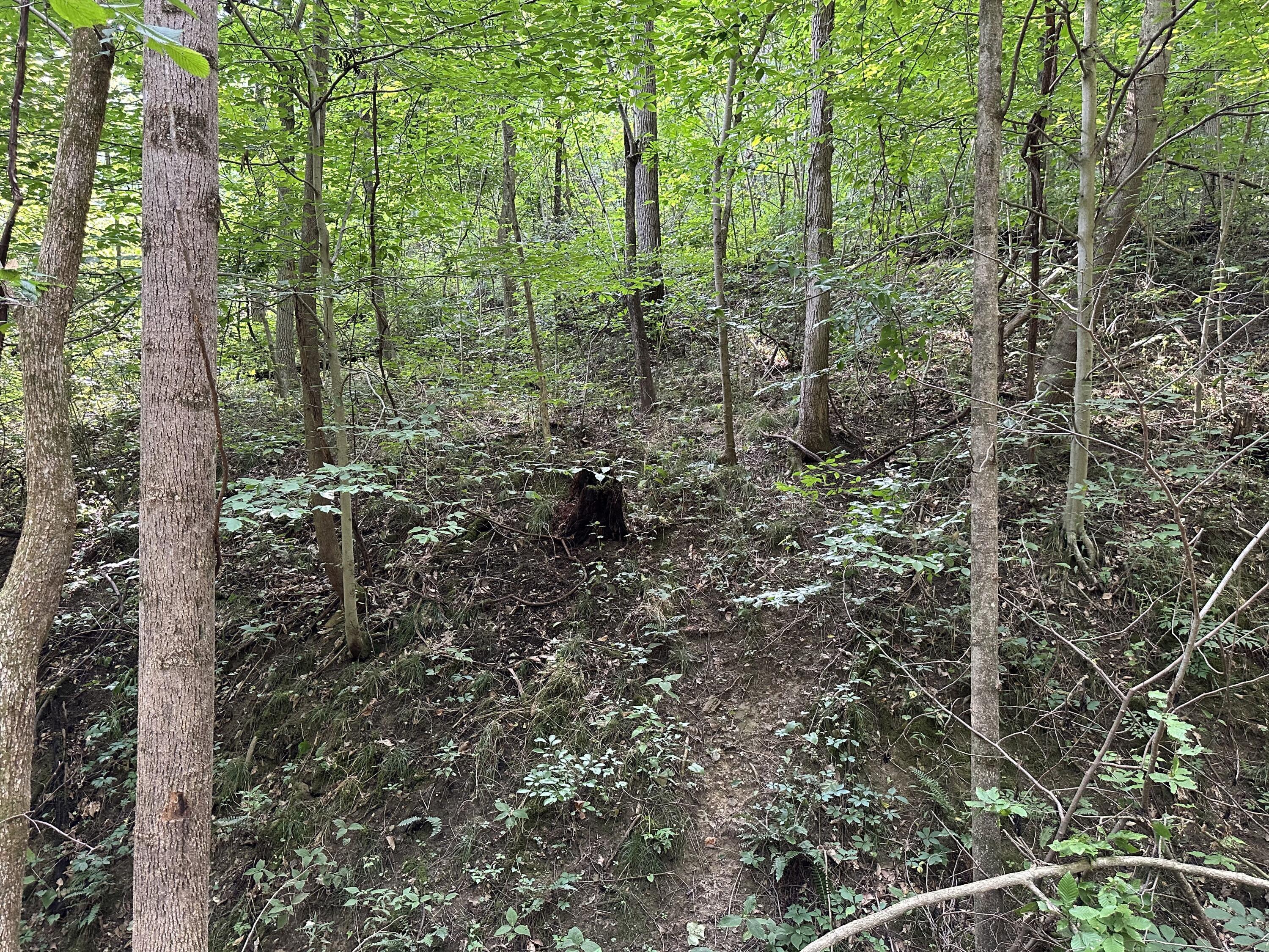 6690 Old State Road, Unit PERRY RIDGE TRACT 6) Crooksville, OH 43731 - Photo 35 of 36 20230804_211940510_iOS