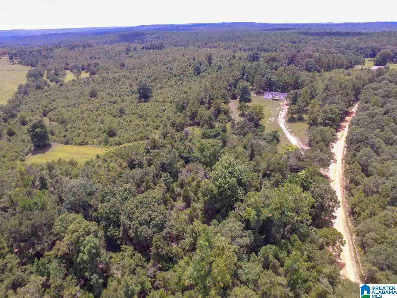 3647 County Road 22 Jones, AL 36749 - Photo 9 of 43