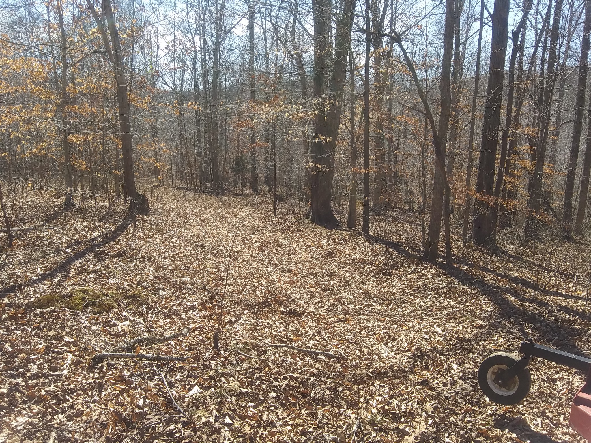 1071 Simms Heights Road Kingston Springs, TN 37082 - Photo 63 of 80 Gallery Image 63