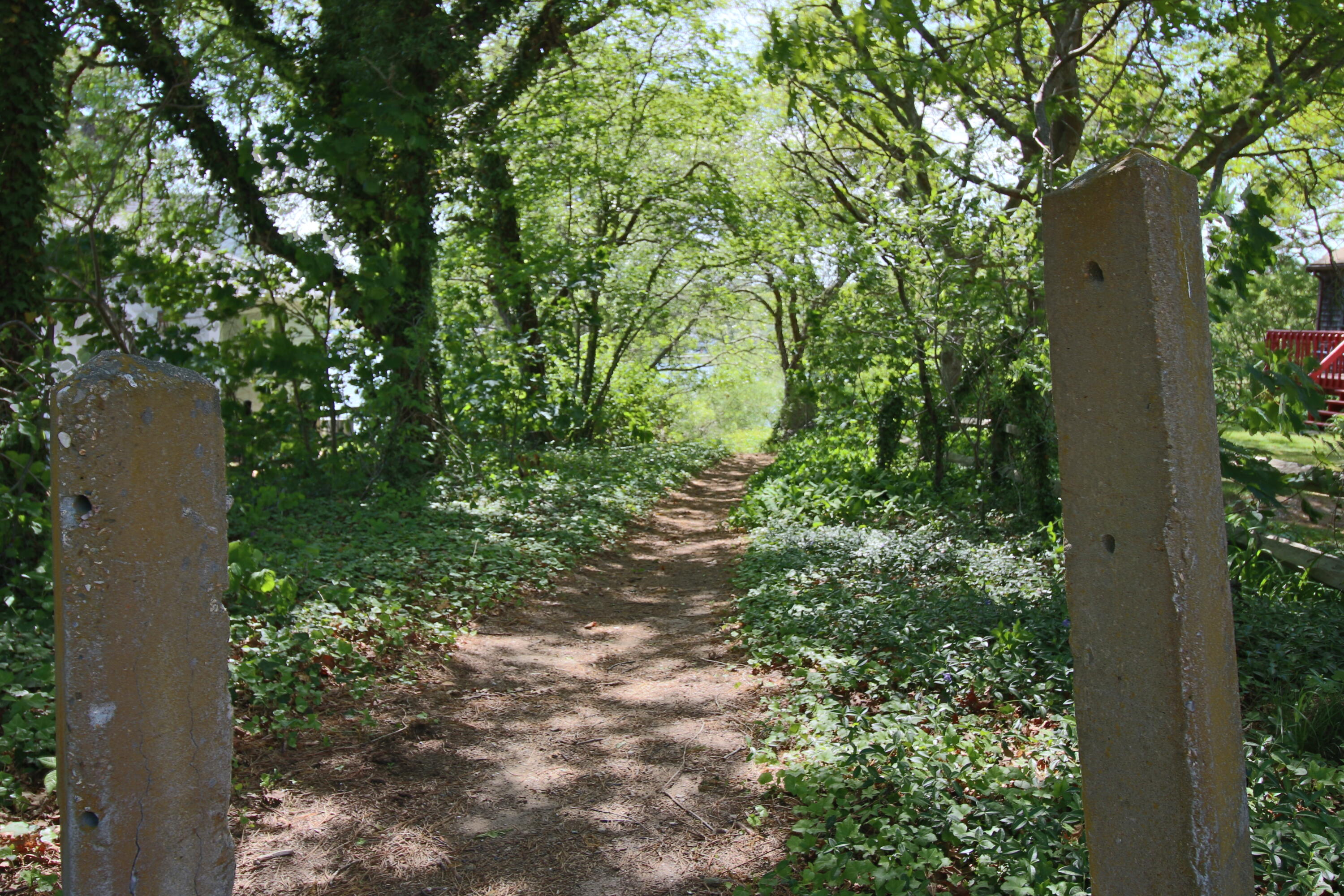 25 Skerry Road South Dennis, MA 02660 - Photo 21 of 22 Path to Beach Viking Shores