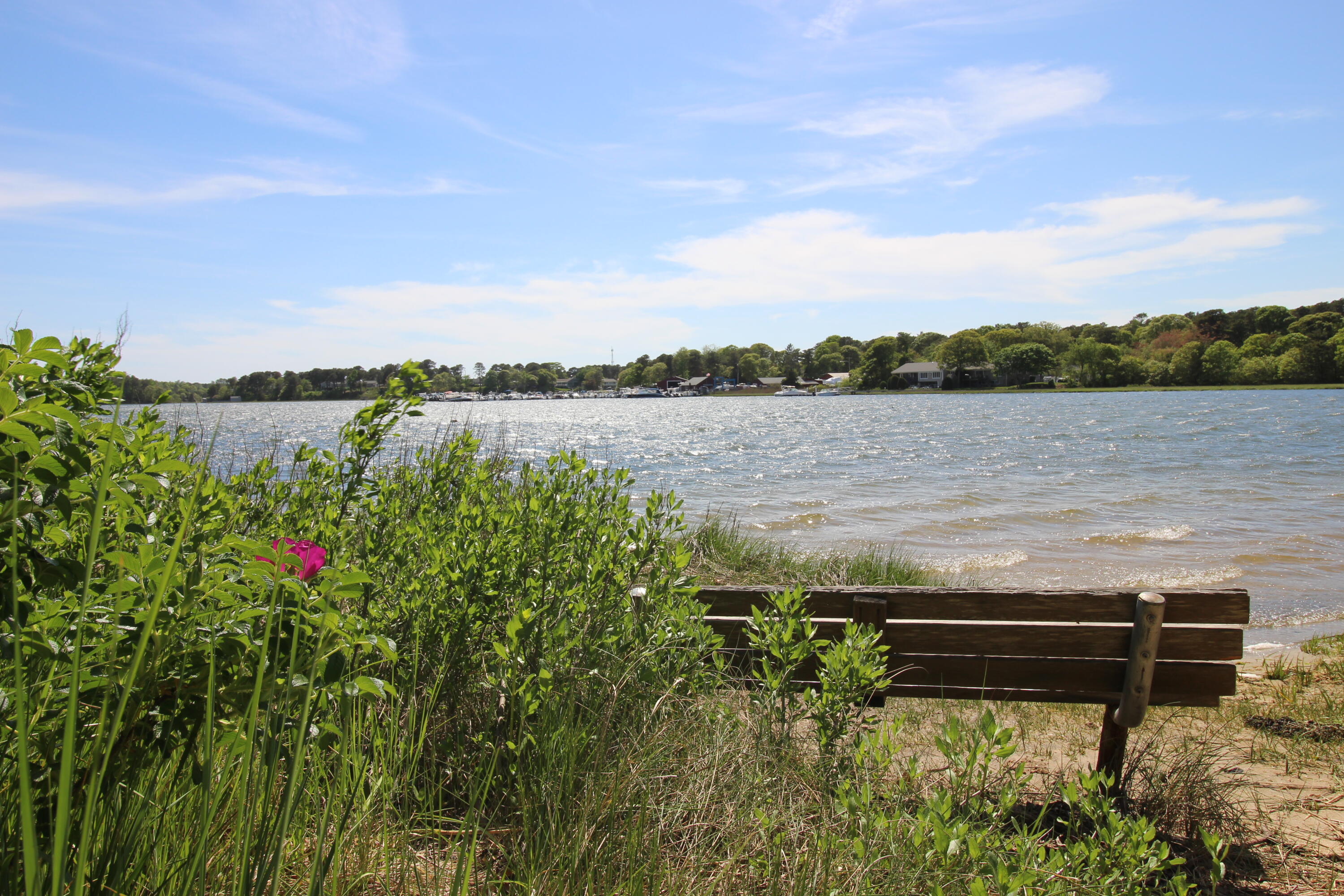 25 Skerry Road South Dennis, MA 02660 - Photo 22 of 22 Kelleys Bay 2021 (4)