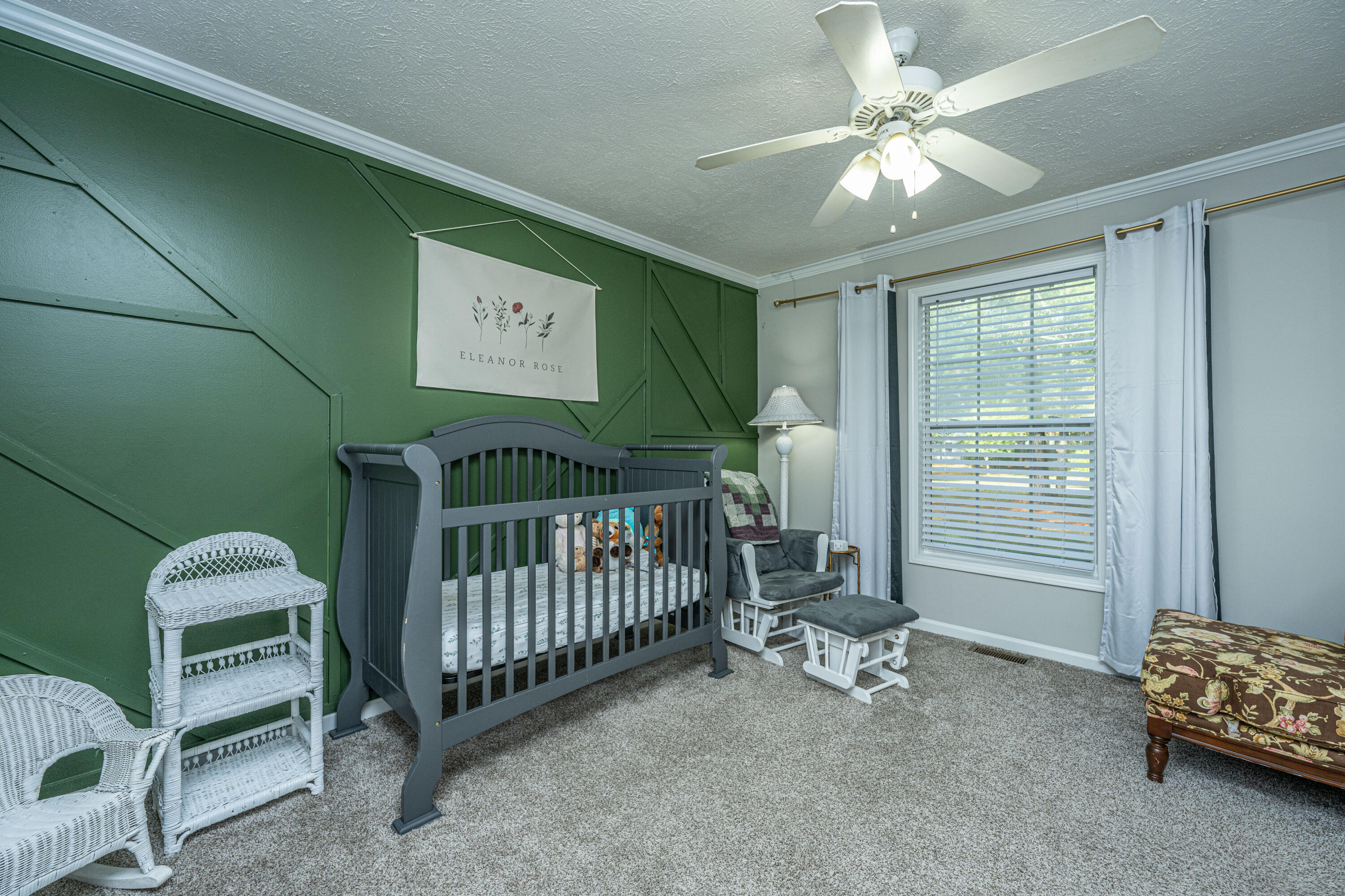 237 Deer Ridge Court Huger, SC 29450 - Photo 14 of 25 237DeerRidgeCtNursery1