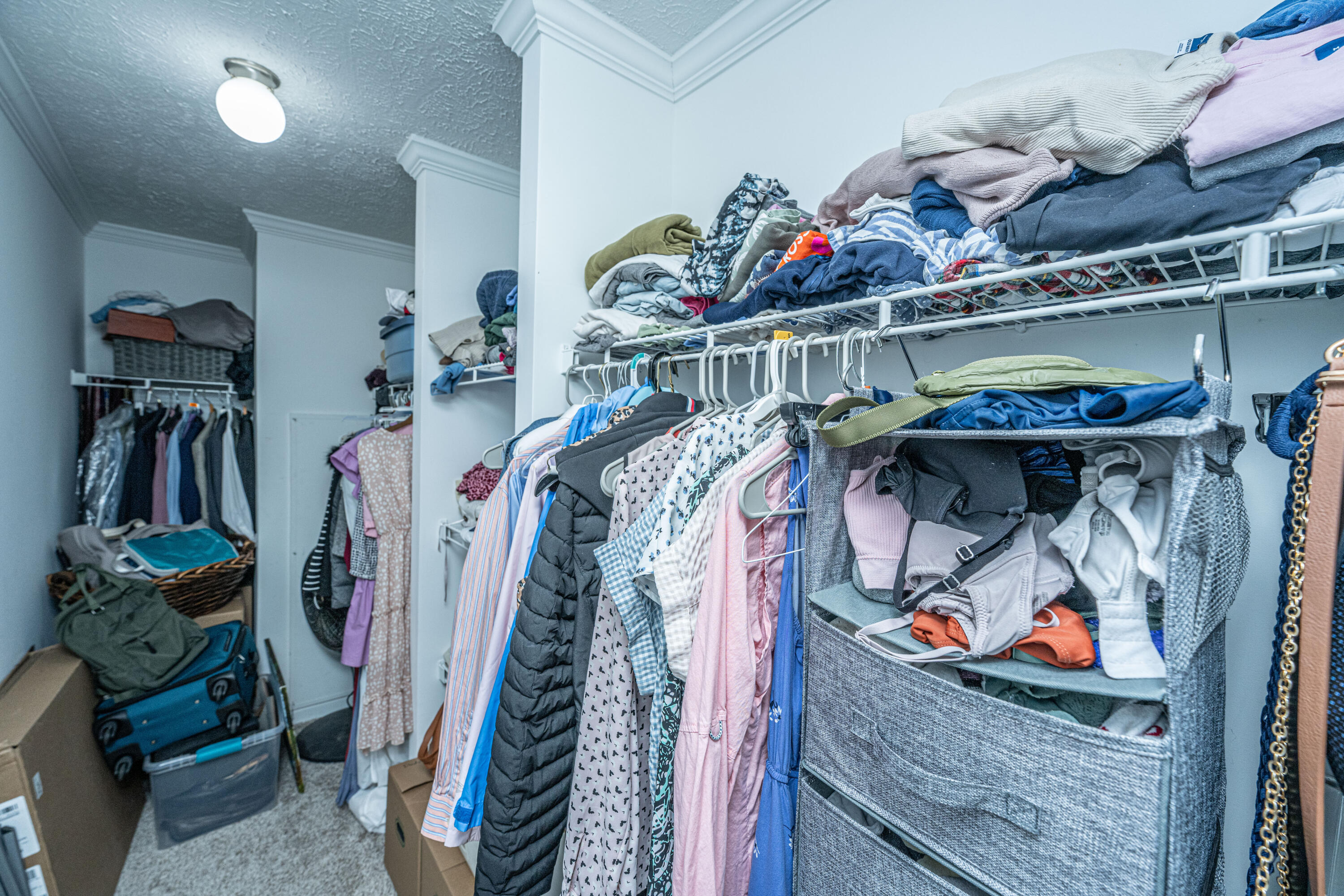 237 Deer Ridge Court Huger, SC 29450 - Photo 18 of 25 237DeerRidgeCtPrimaryCloset