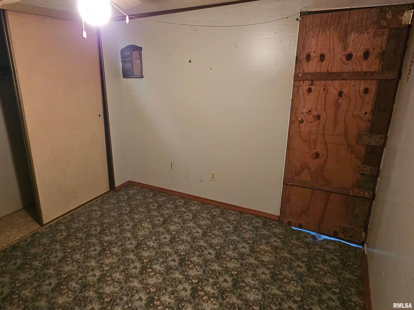 5274 Norton Road Odin, IL 62870 - Photo 22 of 33