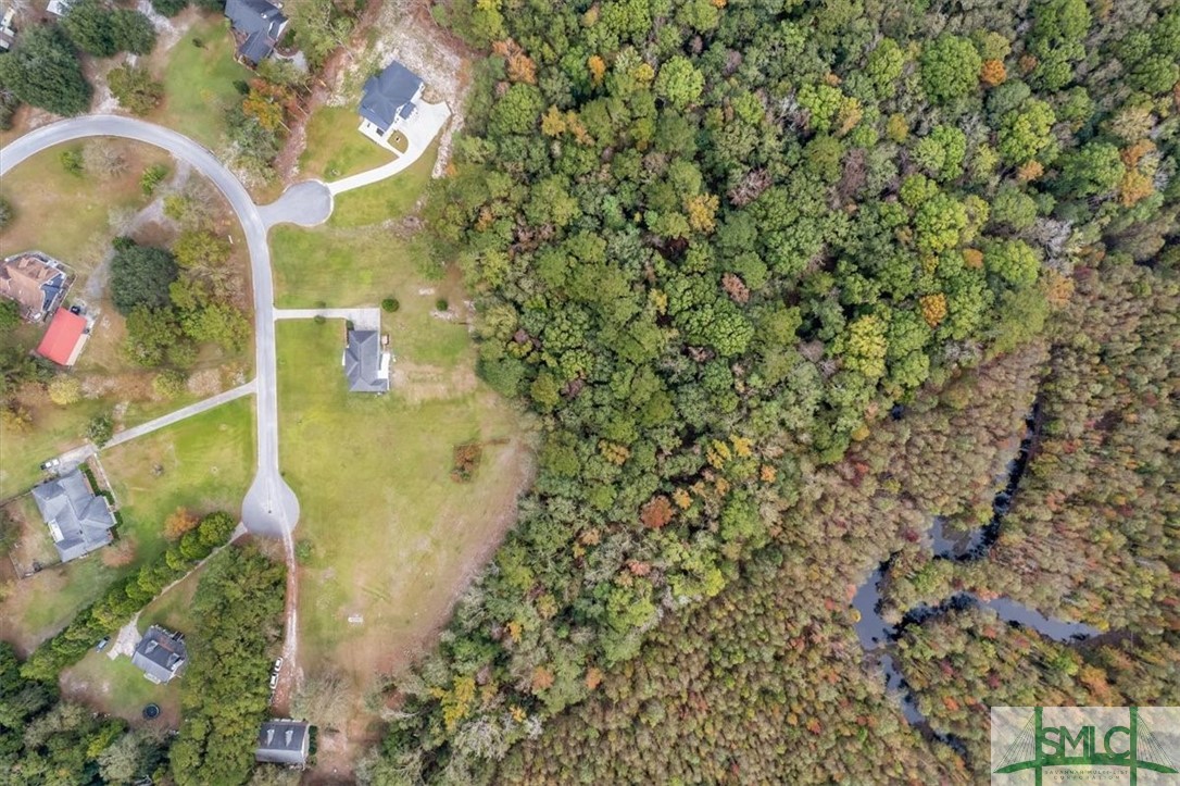 391 Hawk Hammock Road Springfield, GA 31329 - Photo 43 of 46