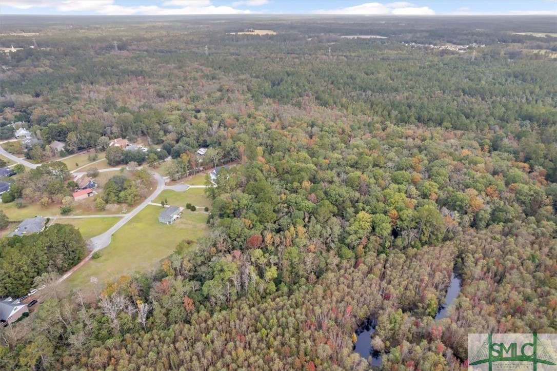 391 Hawk Hammock Road Springfield, GA 31329 - Photo 44 of 46