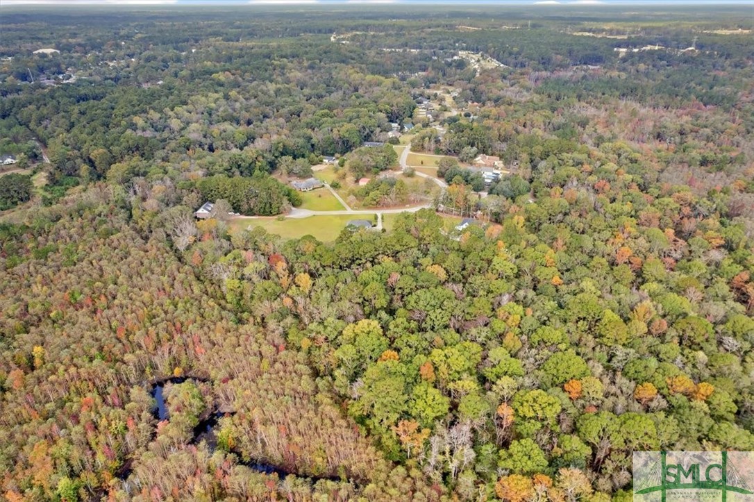 391 Hawk Hammock Road Springfield, GA 31329 - Photo 45 of 46