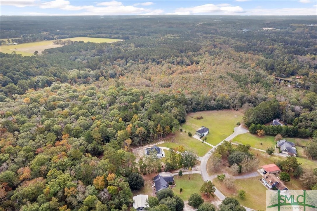 391 Hawk Hammock Road Springfield, GA 31329 - Photo 46 of 46