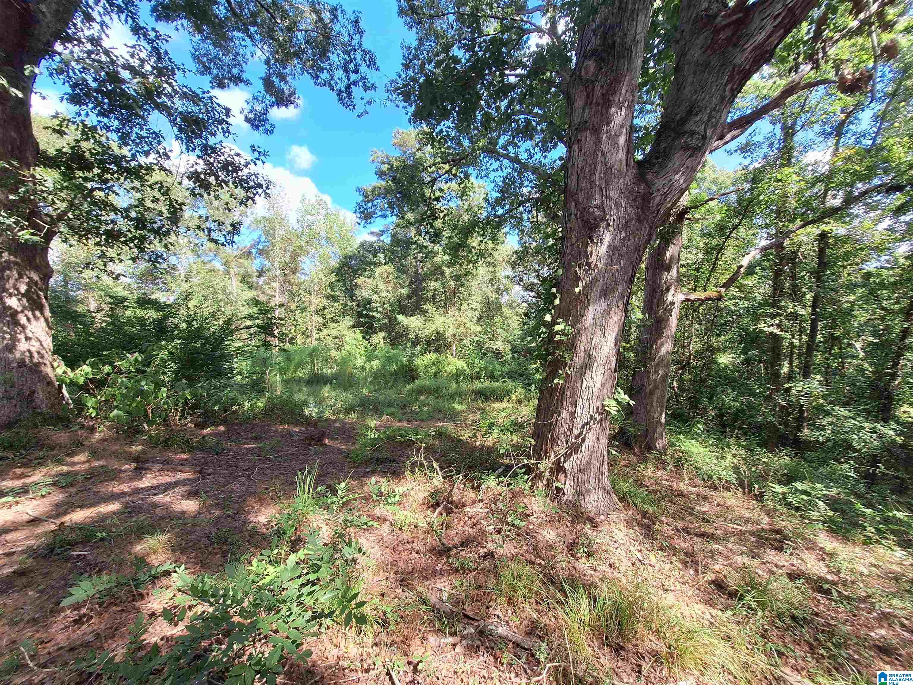 13533 Olivewood Road Coker, AL 35452 - Photo 65 of 66