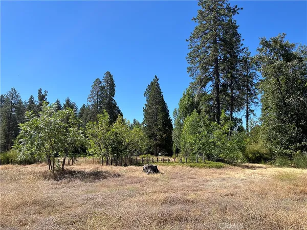 $20,000 | 1387 Wagstaff Road, Paradise, CA 95969
