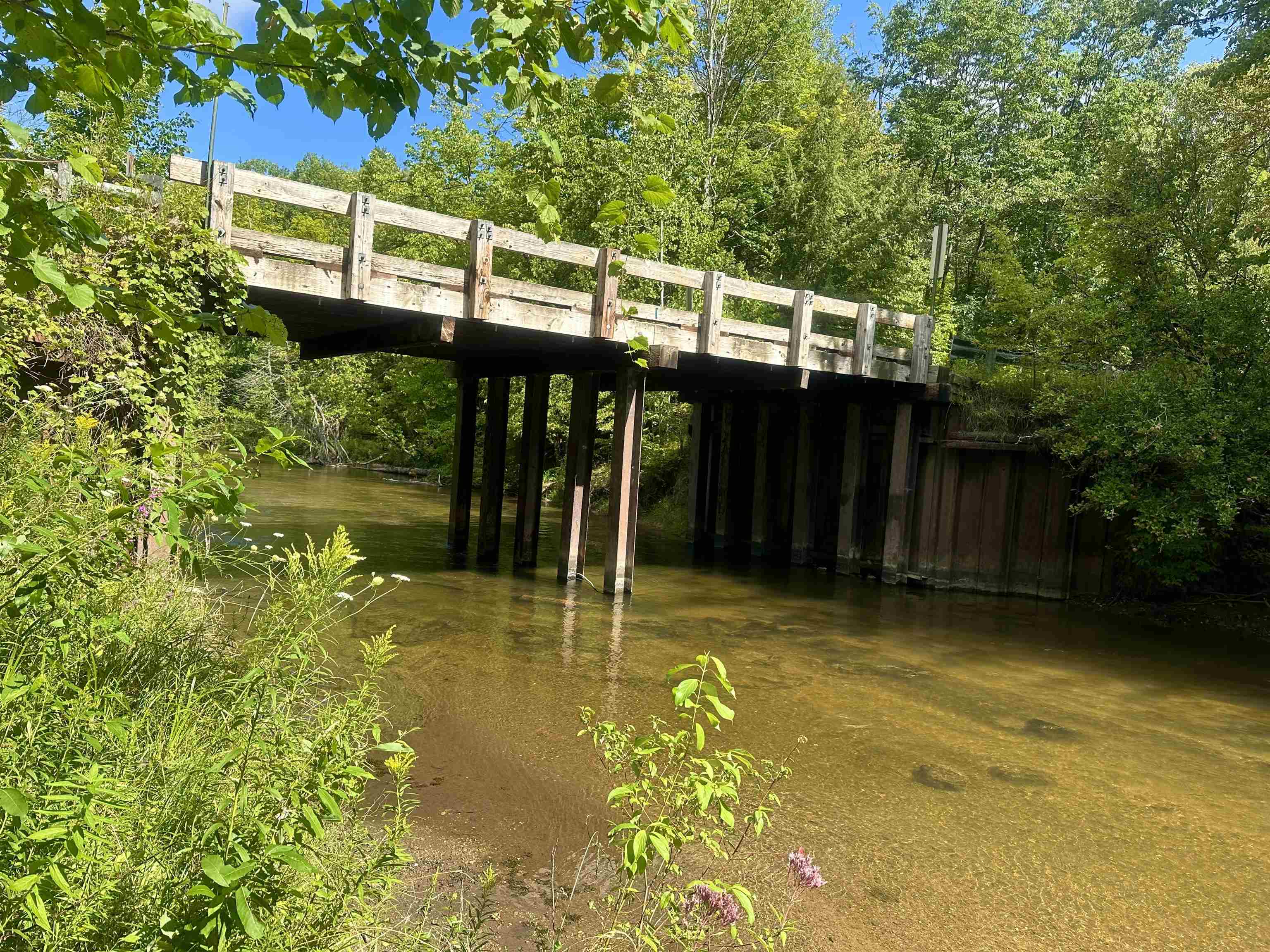 0 Psutka Road Thompsonville, MI 49683 - Photo 7 of 12