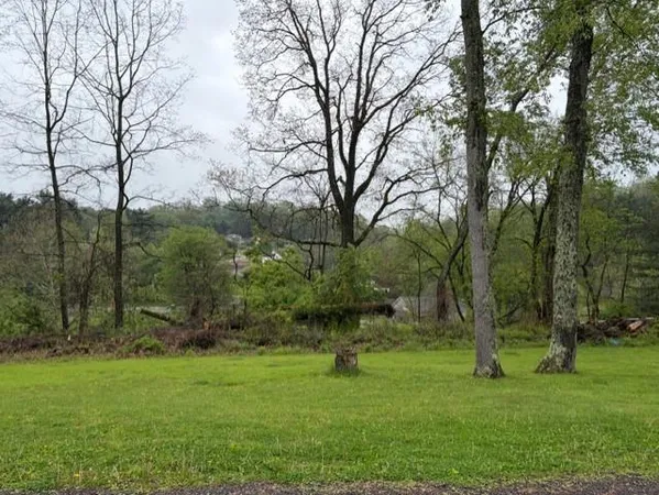 a view of a park
