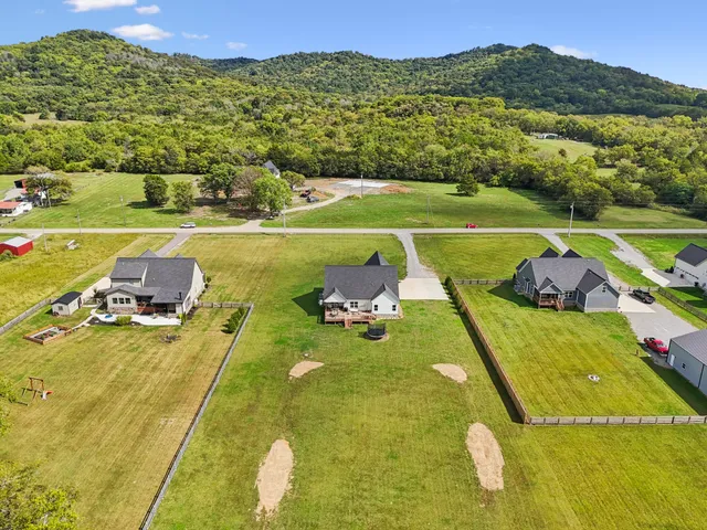 a view of a tree in a yard