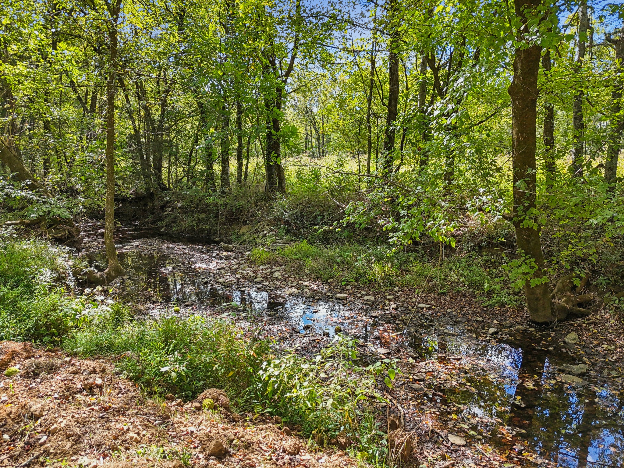 12725 North Milton Road Milton, TN 37118 - Photo 51 of 54 a view of outdoor space and trees