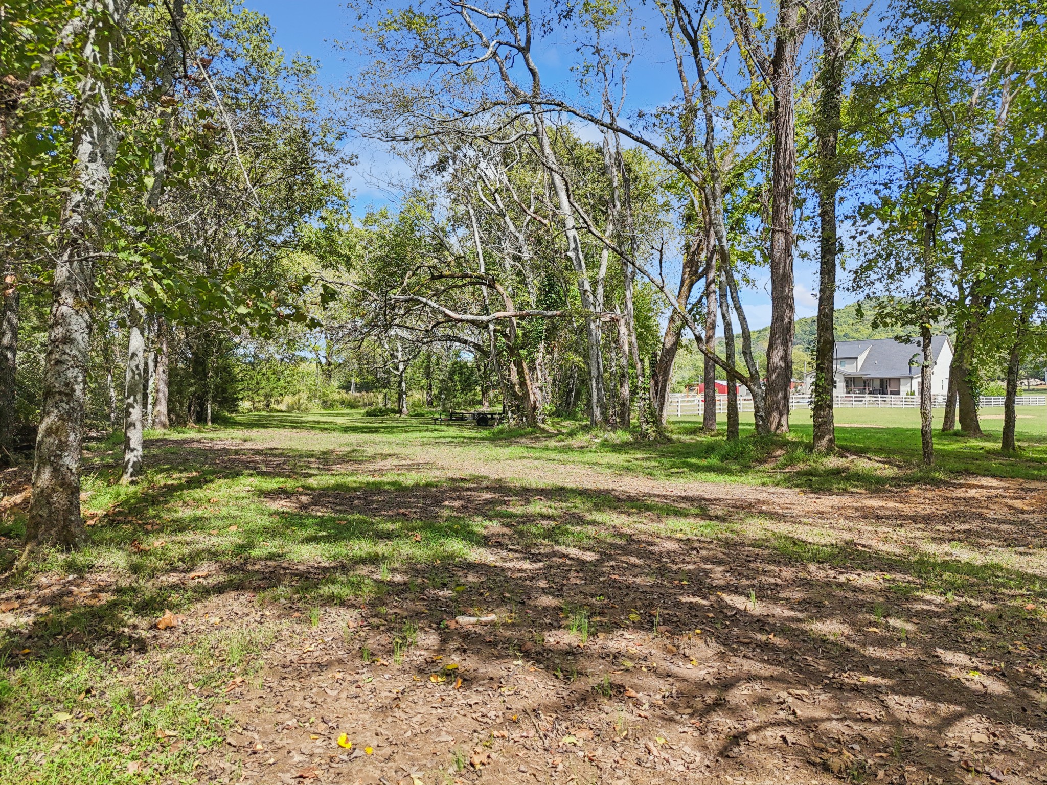 12725 North Milton Road Milton, TN 37118 - Photo 52 of 54 a view of a tree in a yard