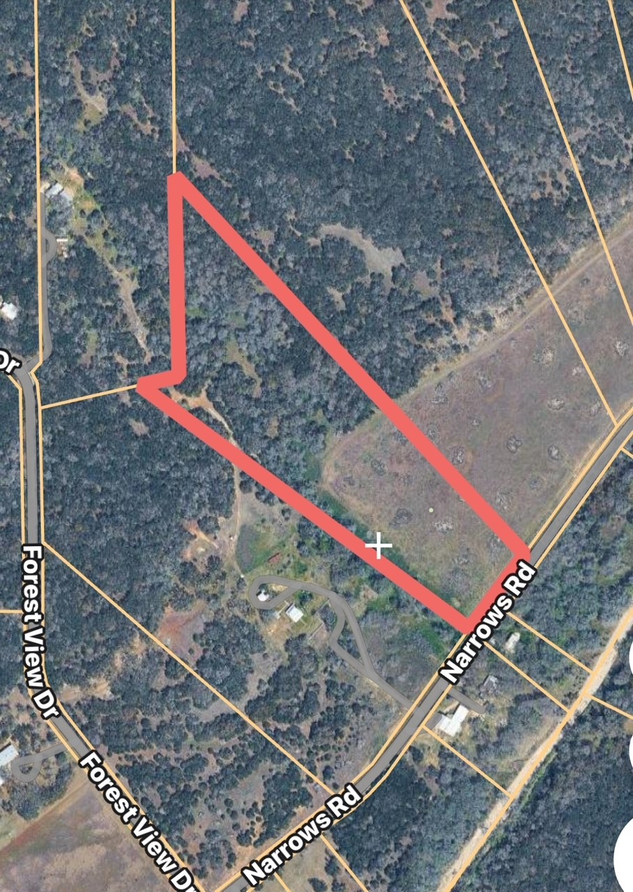 Lot 43 Narrows Road, Unit 1 Blanco, TX 78606 - Photo 2 of 8
