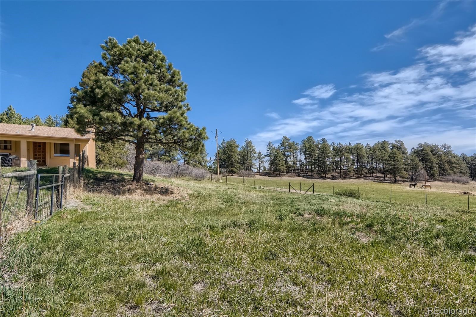 13340 South Perry Park Road Larkspur, CO 80118 - Photo 26 of 28 Gallery Image 26