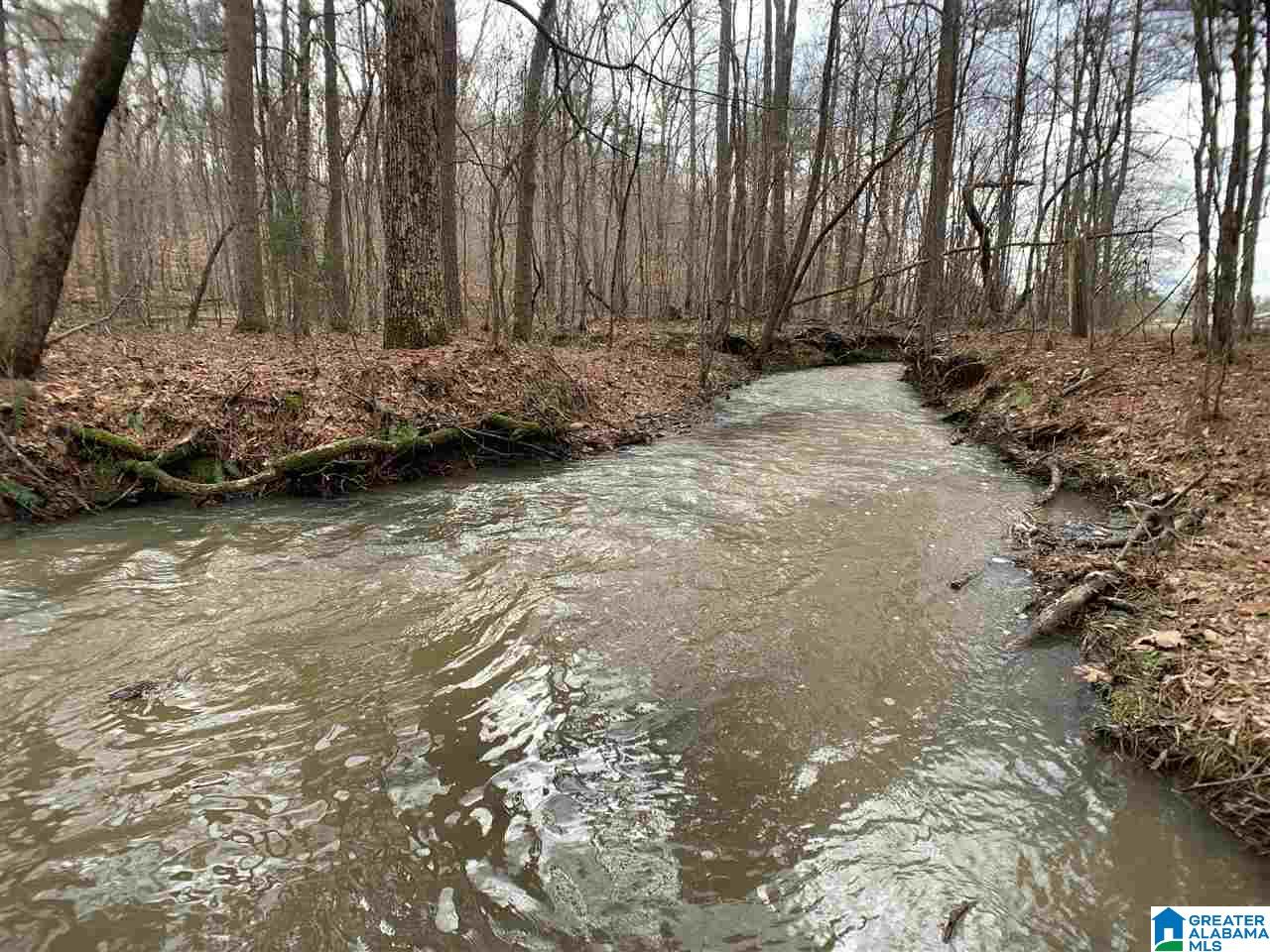 0 Possum Trot Road Piedmont, AL 36272 - Photo 10 of 13