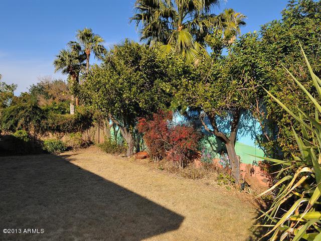 3524 East Hatcher Road Phoenix, AZ 85028 - Photo 22 of 22 022_Backyard