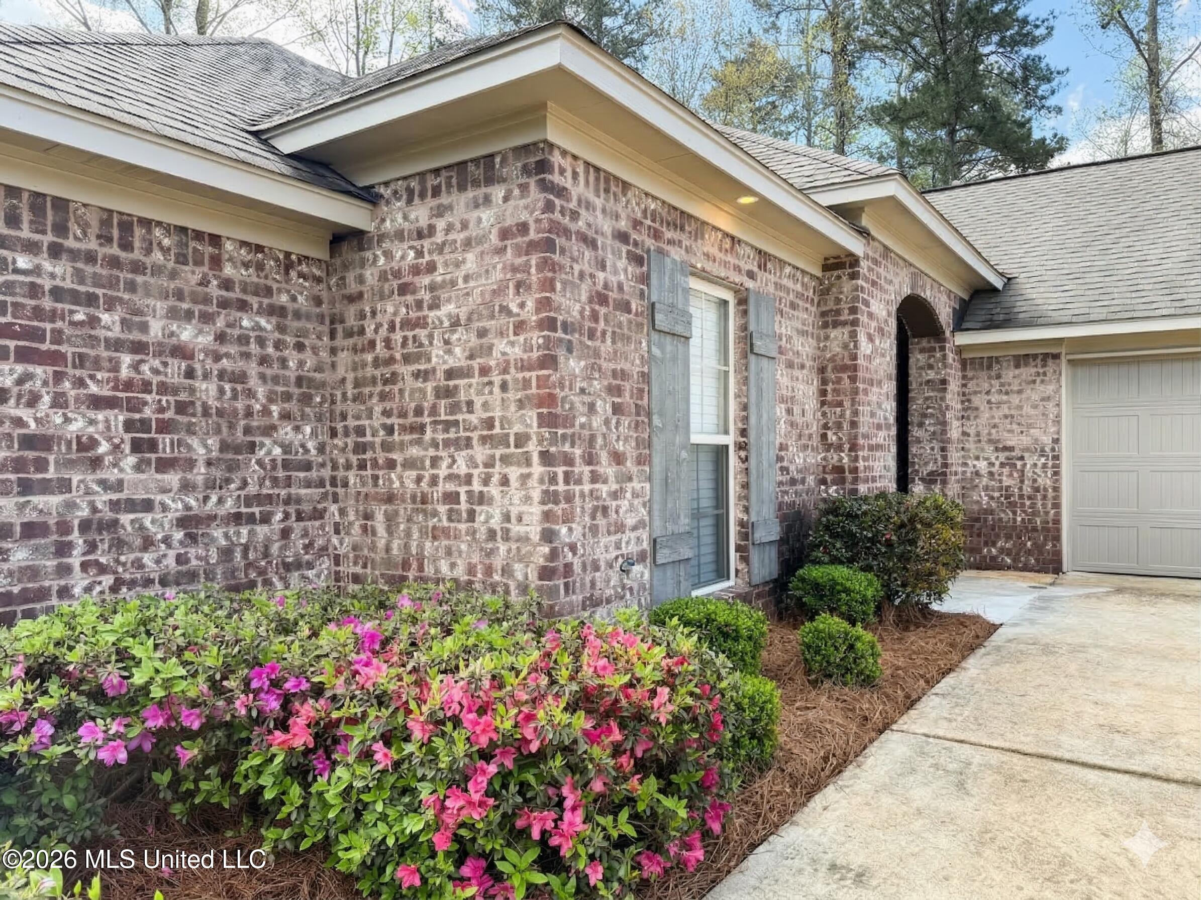 816 Ascham Court Pearl, MS 39208 - Photo 3 of 26 Pine Straw