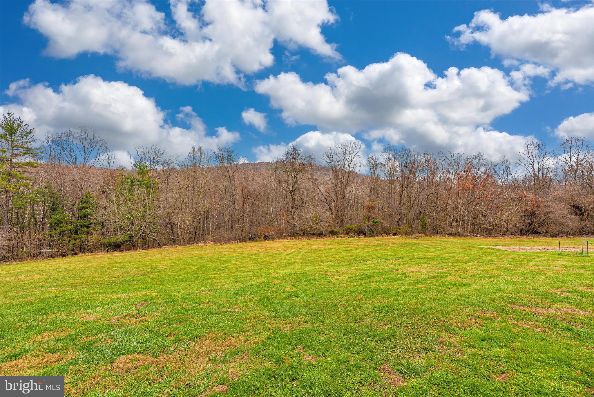 10831 Easterday Road Myersville, MD 21773 - Photo 9 of 49 Open Back Yard Leads to Trails