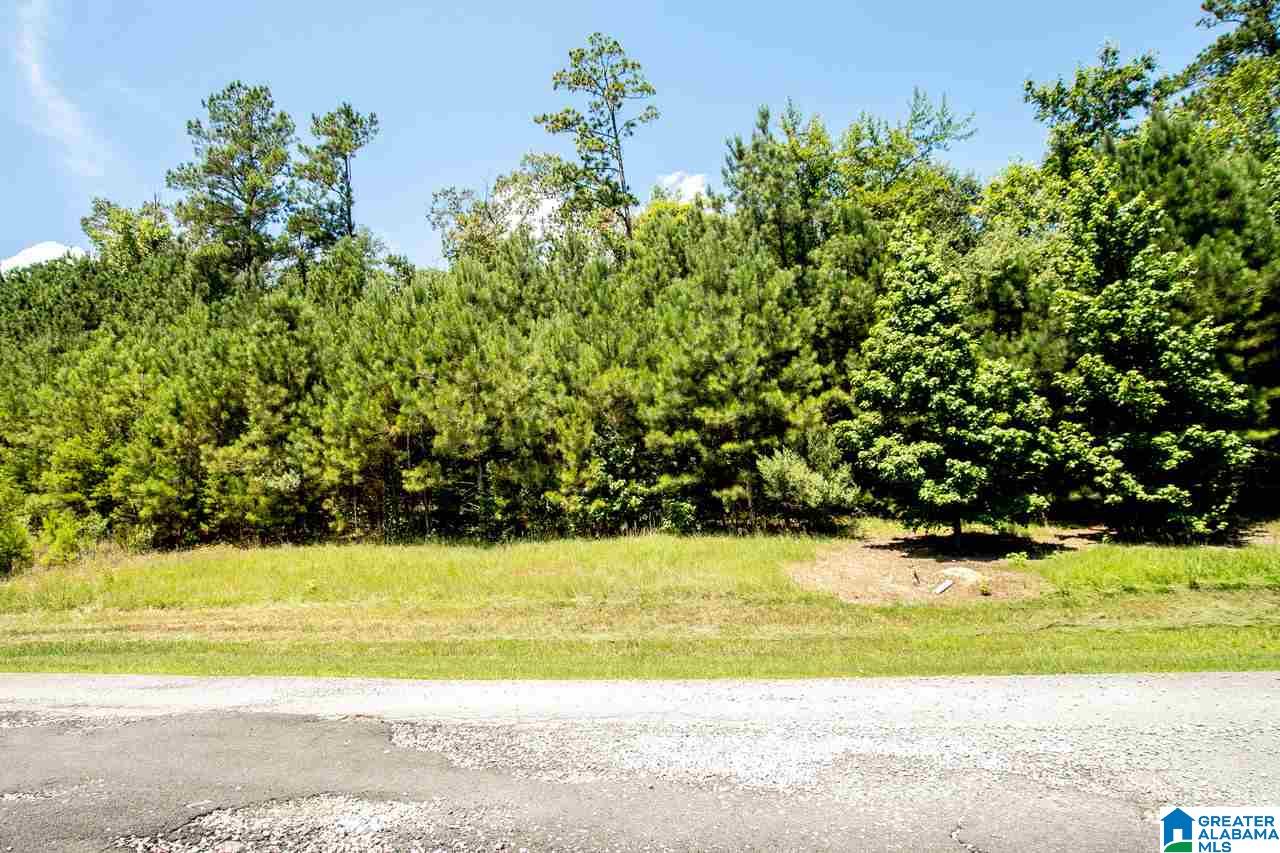 3036 Green Valley Road, Unit 1 Birmingham, AL 35243 - Photo 1 of 1