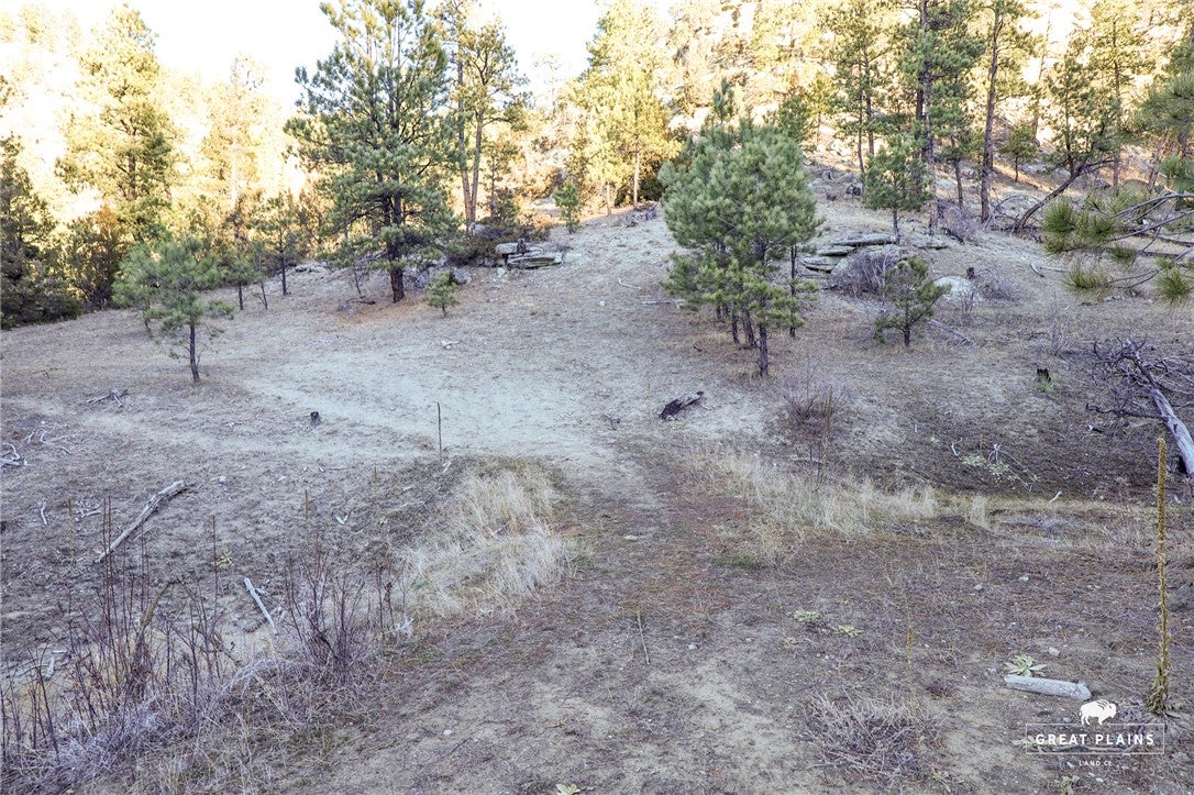 51 Buckskin Road Roundup, MT 59072 - Photo 26 of 34 Gallery Image 26