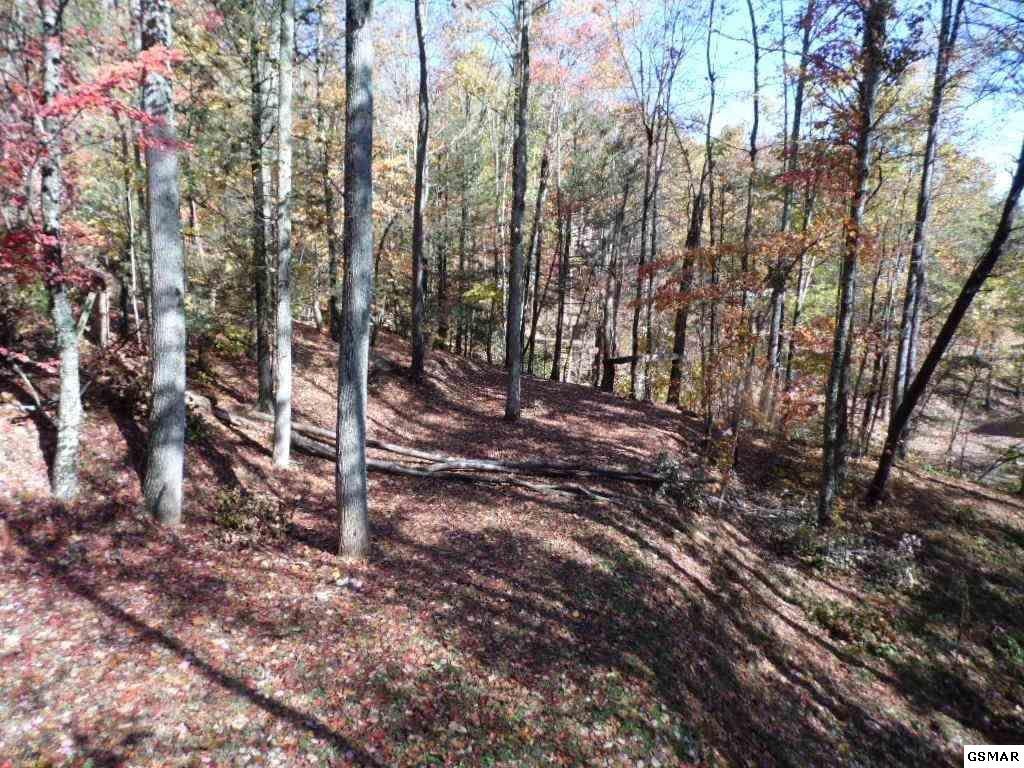 1119 Raintree Road Gatlinburg, TN 37738 - Photo 30 of 34 Gallery Image 30