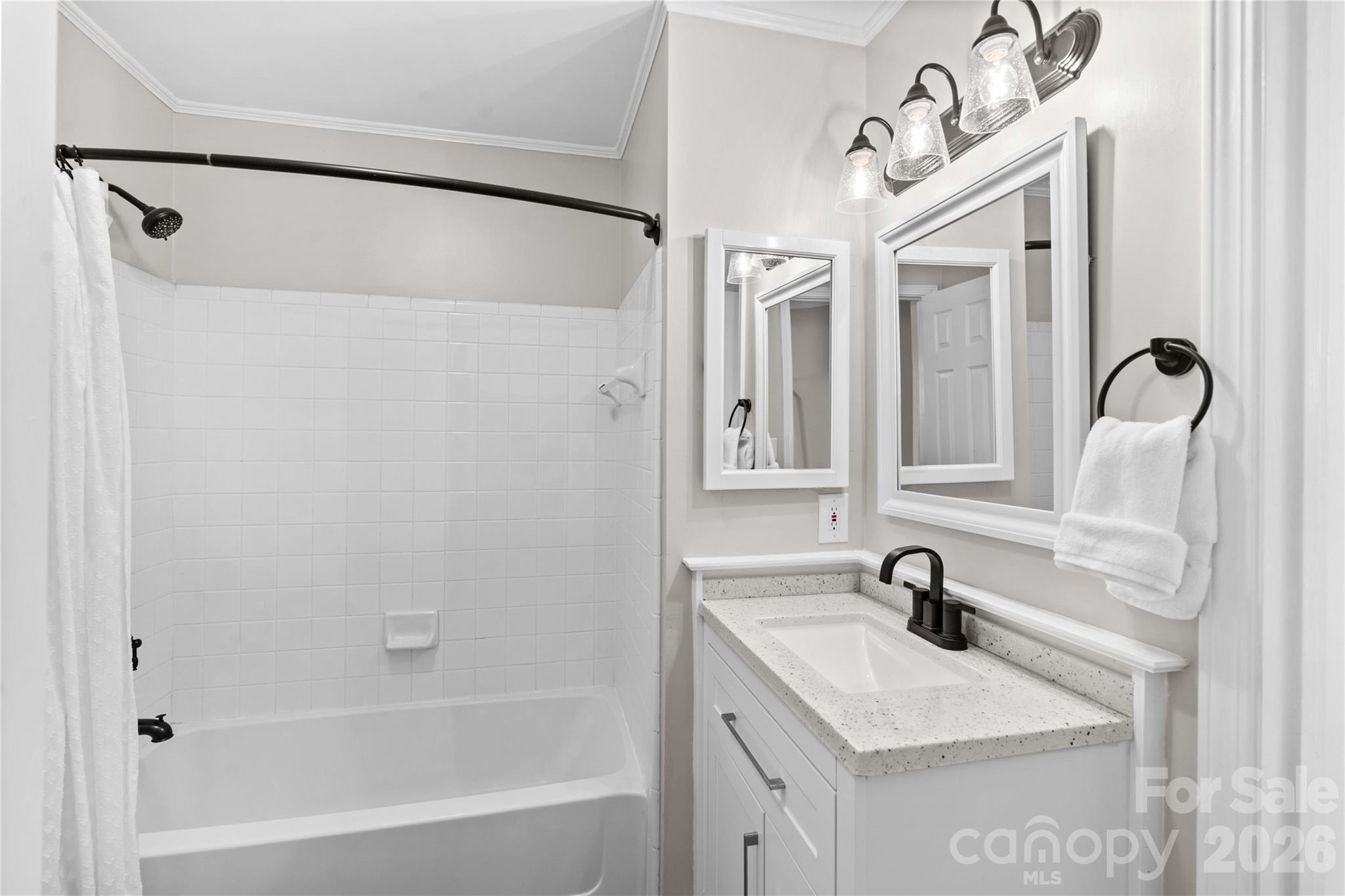 18797 Vineyard Point Lane Cornelius, NC 28031 - Photo 20 of 36 a bathroom with a sink and mirror with bathtub