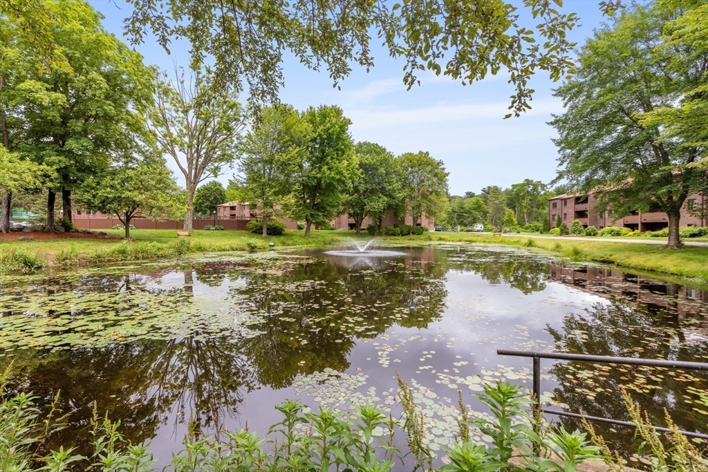 9 Davis Road, Unit C1 Acton, MA 01720 - Photo 8 of 20 a view of a lake with a yard and potted plants and large trees