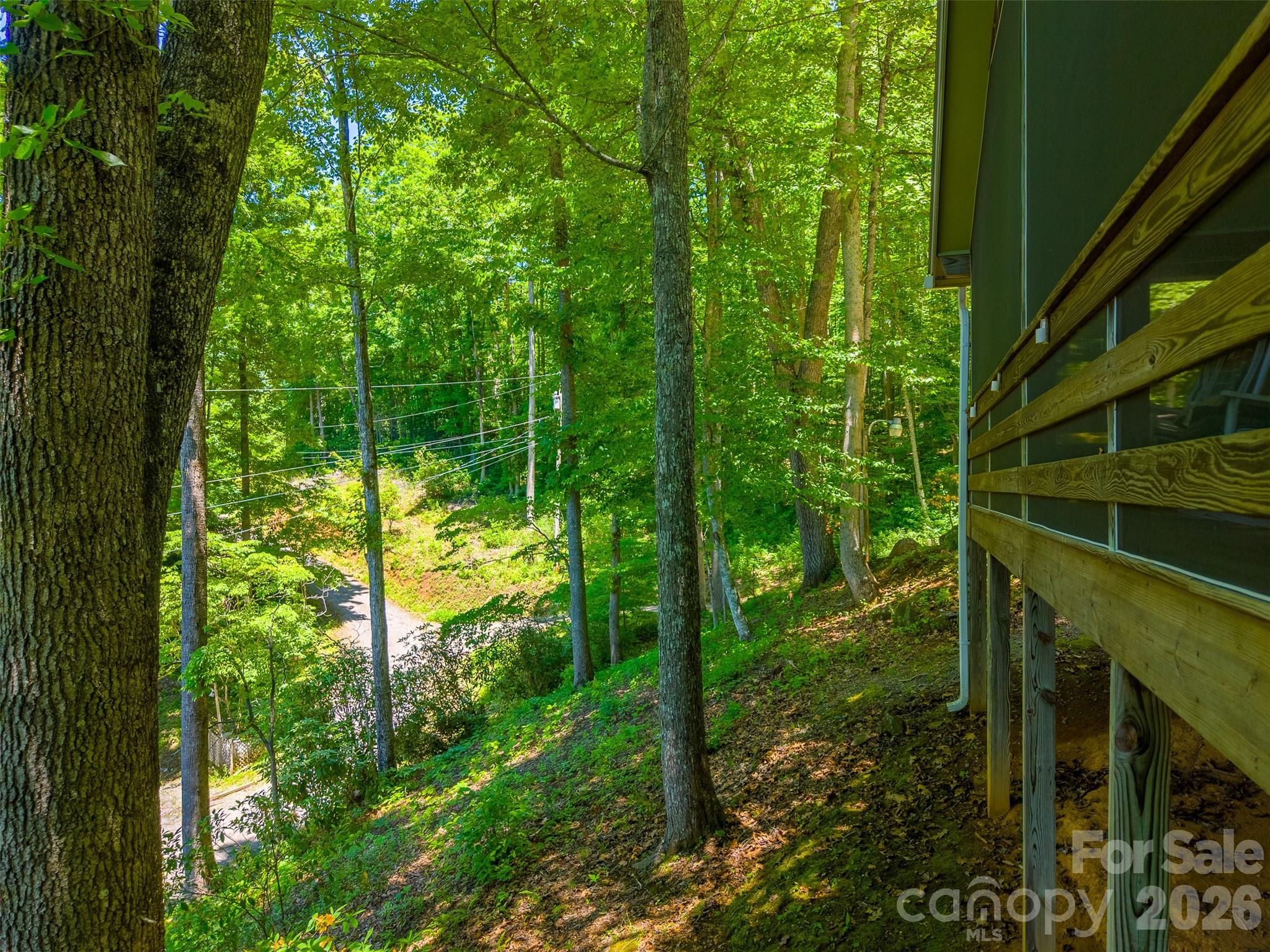 168 Grizzly Ridge Road Sylva, NC 28779 - Photo 29 of 40