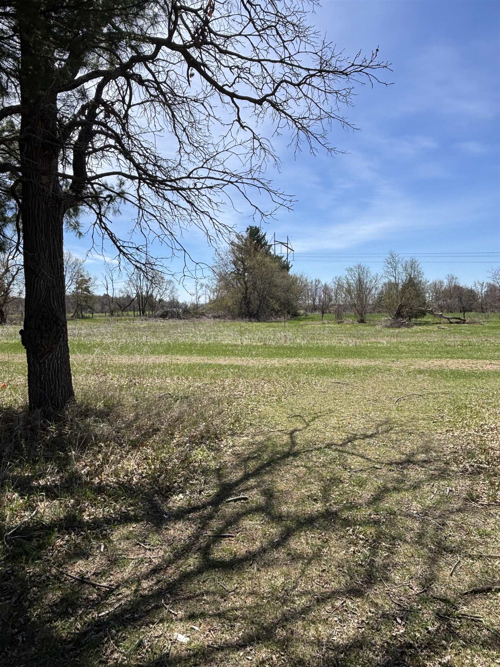 Shady Drive, Unit 3 Plover, WI 54467 - Photo 3 of 4