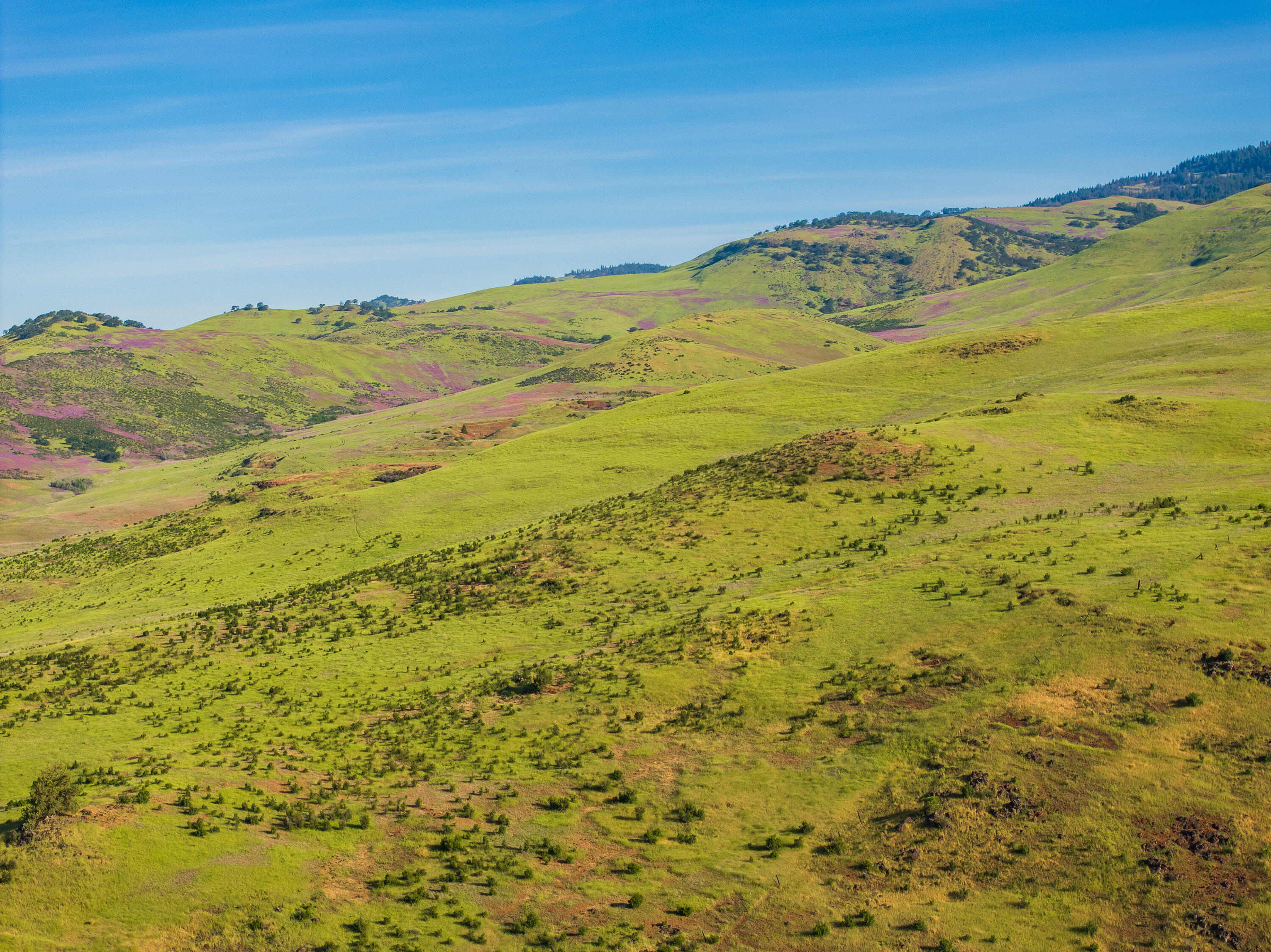 312 Ridge Road Ashland, OR 97520 - Photo 4 of 40 a view of an ocean